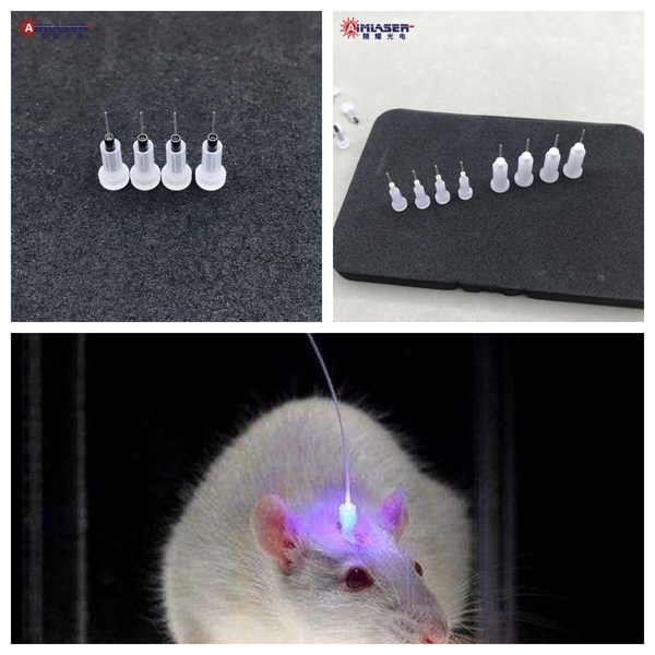 光遗学陶瓷插芯